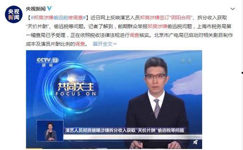 明星偷税爆料视频播放在线观看,明星偷税爆料视频在线观看，真相大白  第2张