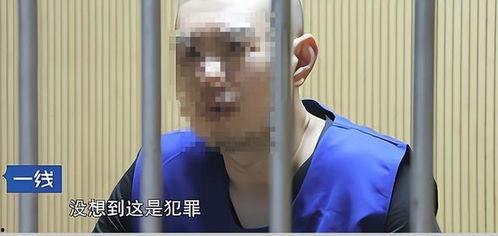 文轩被抓爆料视频,揭秘背后真相与网络热议  第1张